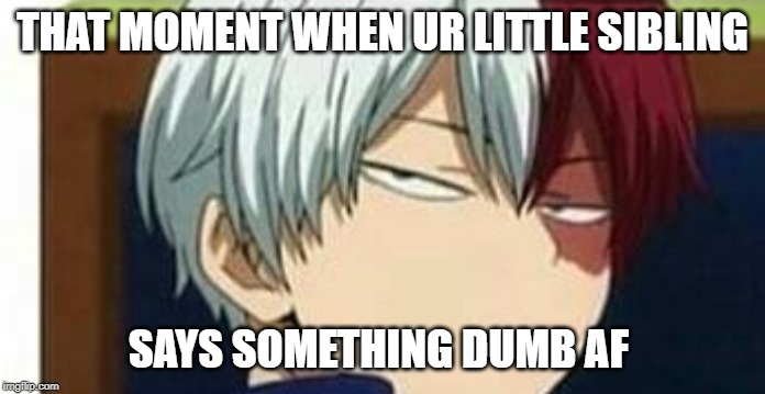 Todoroki Is A Mood | THAT MOMENT WHEN UR LITTLE SIBLING; SAYS SOMETHING DUMB AF | image tagged in todoroki,dumb af,boi,omg | made w/ Imgflip meme maker