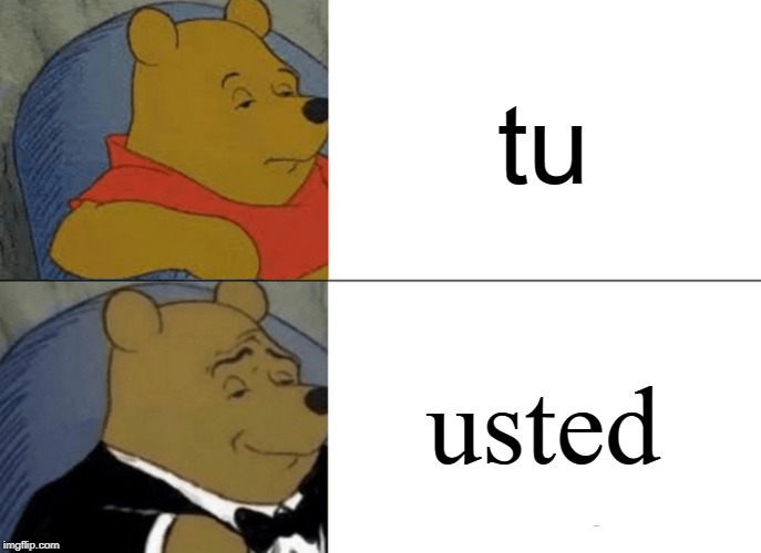 Tuxedo Winnie The Pooh Meme | tu; usted | image tagged in memes,tuxedo winnie the pooh | made w/ Imgflip meme maker