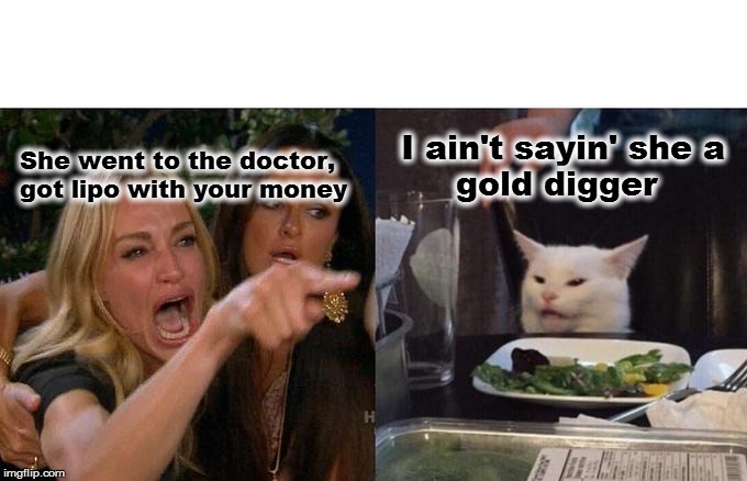 Woman Yelling At Cat | I ain't sayin' she a 
      gold digger; She went to the doctor, got lipo with your money | image tagged in memes,woman yelling at cat | made w/ Imgflip meme maker