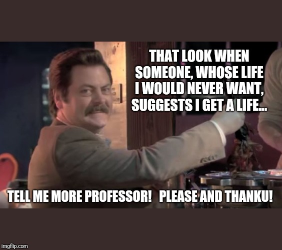 Ron Swanson | THAT LOOK WHEN SOMEONE, WHOSE LIFE I WOULD NEVER WANT, SUGGESTS I GET A LIFE... TELL ME MORE PROFESSOR!   PLEASE AND THANKU! | image tagged in ron swanson | made w/ Imgflip meme maker