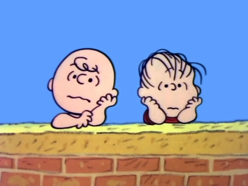 High Quality Charlie Brown and Linus Blank Meme Template