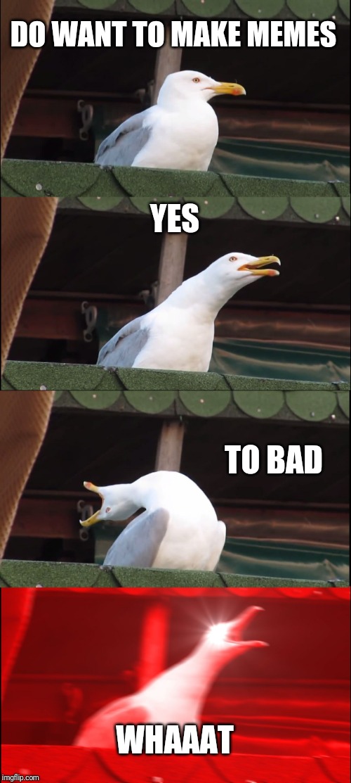 Inhaling Seagull Meme | DO WANT TO MAKE MEMES; YES; TO BAD; WHAAAT | image tagged in memes,inhaling seagull | made w/ Imgflip meme maker