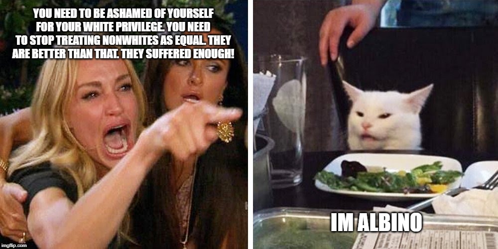 Smudge the cat | YOU NEED TO BE ASHAMED OF YOURSELF FOR YOUR WHITE PRIVILEGE. YOU NEED TO STOP TREATING NONWHITES AS EQUAL. THEY ARE BETTER THAN THAT. THEY SUFFERED ENOUGH! IM ALBINO | image tagged in smudge the cat | made w/ Imgflip meme maker