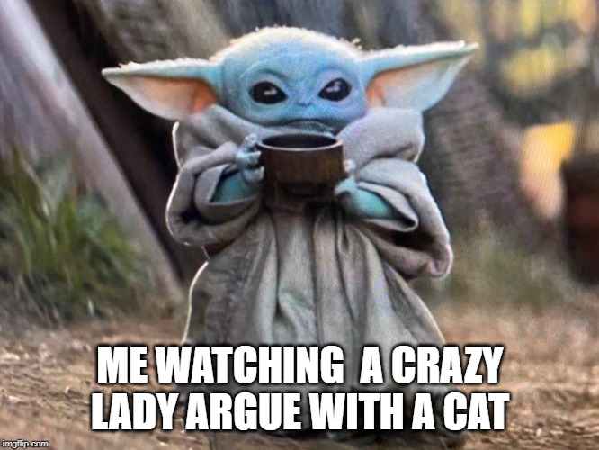 ME WATCHING  A CRAZY LADY ARGUE WITH A CAT | image tagged in funny memes | made w/ Imgflip meme maker