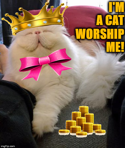 WORSHIP ME | I'M A CAT; WORSHIP ME! | image tagged in worship me | made w/ Imgflip meme maker