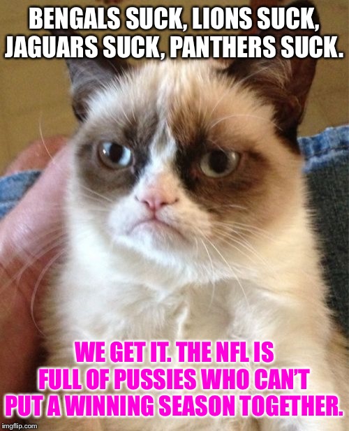 Grumpy Cat’s take on the NFL in 2019 | BENGALS SUCK, LIONS SUCK, JAGUARS SUCK, PANTHERS SUCK. WE GET IT. THE NFL IS FULL OF PUSSIES WHO CAN’T PUT A WINNING SEASON TOGETHER. | image tagged in memes,grumpy cat,nfl football,lose,bad,suck | made w/ Imgflip meme maker