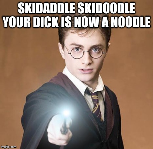 harry potter casting a spell | SKIDADDLE SKIDOODLE YOUR DICK IS NOW A NOODLE | image tagged in harry potter casting a spell | made w/ Imgflip meme maker