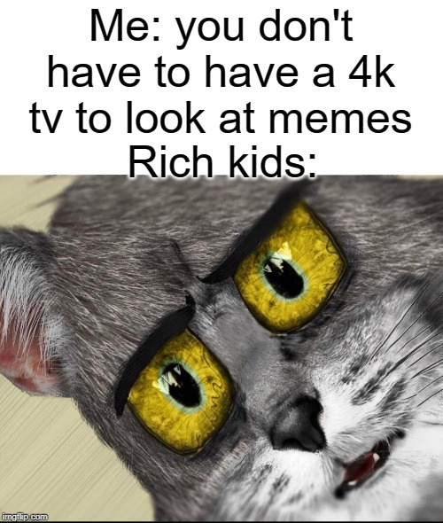 you don't need that | Me: you don't have to have a 4k tv to look at memes; Rich kids: | image tagged in funny,memes,rich kids,tv,unsettled tom,hd | made w/ Imgflip meme maker