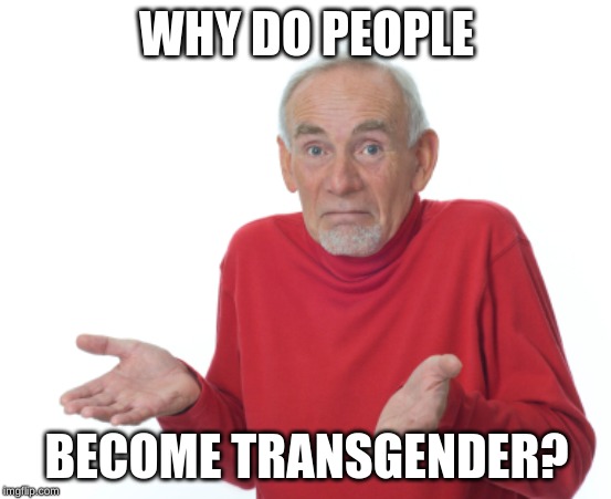 I'm not trying to be mean, i'm just curious. | WHY DO PEOPLE; BECOME TRANSGENDER? | image tagged in guess i'll die | made w/ Imgflip meme maker