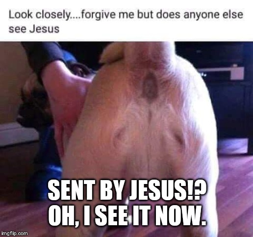 Trump sent by Jesus?! | SENT BY JESUS!? OH, I SEE IT NOW. | image tagged in donald trump,chosen one | made w/ Imgflip meme maker