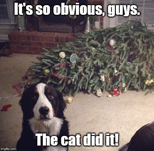 Dog Christmas Tree | It's so obvious, guys. The cat did it! | image tagged in dog christmas tree | made w/ Imgflip meme maker