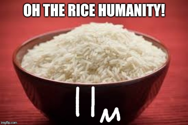 All this rice | OH THE RICE HUMANITY! | image tagged in all this rice | made w/ Imgflip meme maker