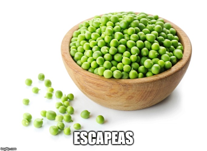 Escapeas, Prison break | ESCAPEAS | image tagged in prison escape | made w/ Imgflip meme maker