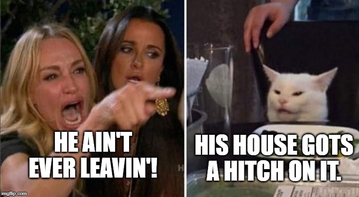 salty cat hitch that | HE AIN'T EVER LEAVIN'! HIS HOUSE GOTS A HITCH ON IT. | image tagged in salty,relationship status,kitty | made w/ Imgflip meme maker