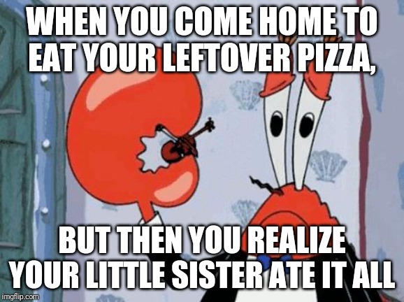 As A Pizza Lover, That Makes Me Sad (but if you ask for it, I wouldn't mind) | WHEN YOU COME HOME TO EAT YOUR LEFTOVER PIZZA, BUT THEN YOU REALIZE YOUR LITTLE SISTER ATE IT ALL | image tagged in mr krabs violin | made w/ Imgflip meme maker