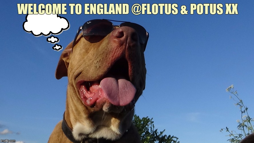  WELCOME TO ENGLAND @FLOTUS & POTUS XX | image tagged in flotus,potus,enjoy,x x everywhere,love,the great awakening | made w/ Imgflip meme maker