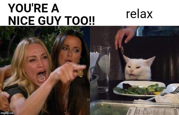 Woman Yelling At Cat Meme | YOU'RE A NICE GUY TOO!! relax | image tagged in memes,woman yelling at cat | made w/ Imgflip meme maker