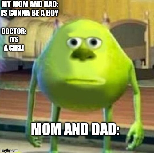 Mike wasowski sully face swap | MY MOM AND DAD: IS GONNA BE A BOY; DOCTOR: ITS A GIRL! MOM AND DAD: | image tagged in mike wasowski sully face swap | made w/ Imgflip meme maker