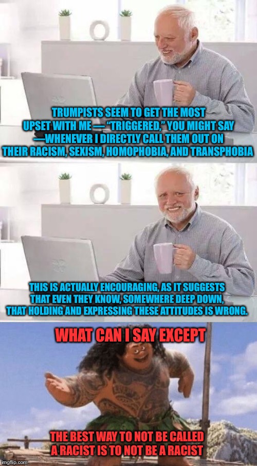 There is still hope for them! | TRUMPISTS SEEM TO GET THE MOST UPSET WITH ME — “TRIGGERED,” YOU MIGHT SAY —WHENEVER I DIRECTLY CALL THEM OUT ON THEIR RACISM, SEXISM, HOMOPHOBIA, AND TRANSPHOBIA; THIS IS ACTUALLY ENCOURAGING, AS IT SUGGESTS THAT EVEN THEY KNOW, SOMEWHERE DEEP DOWN, THAT HOLDING AND EXPRESSING THESE ATTITUDES IS WRONG. WHAT CAN I SAY EXCEPT; THE BEST WAY TO NOT BE CALLED A RACIST IS TO NOT BE A RACIST | image tagged in memes,hide the pain harold,what can i say except x,racism,sexism,homophobia | made w/ Imgflip meme maker