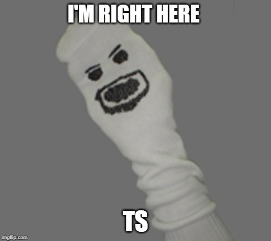 socks mcgee | I'M RIGHT HERE; TS | image tagged in socks mcgee | made w/ Imgflip meme maker