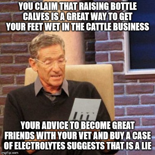 Maury Lie Detector Meme | YOU CLAIM THAT RAISING BOTTLE CALVES IS A GREAT WAY TO GET YOUR FEET WET IN THE CATTLE BUSINESS; YOUR ADVICE TO BECOME GREAT FRIENDS WITH YOUR VET AND BUY A CASE OF ELECTROLYTES SUGGESTS THAT IS A LIE | image tagged in memes,maury lie detector | made w/ Imgflip meme maker