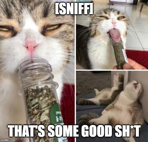 [SNIFF] THAT'S SOME GOOD SH*T | made w/ Imgflip meme maker