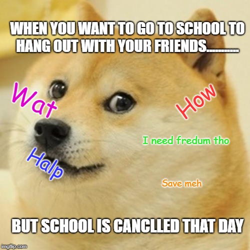 Doge Meme | WHEN YOU WANT TO GO TO SCHOOL TO HANG OUT WITH YOUR FRIENDS........... Wat; How; I need fredum tho; Halp; Save meh; BUT SCHOOL IS CANCLLED THAT DAY | image tagged in memes,doge | made w/ Imgflip meme maker