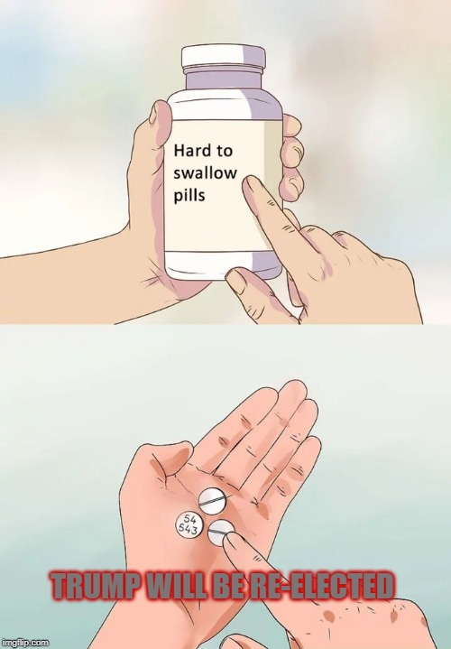 Hard To Swallow Pills Meme | TRUMP WILL BE RE-ELECTED | image tagged in memes,hard to swallow pills | made w/ Imgflip meme maker