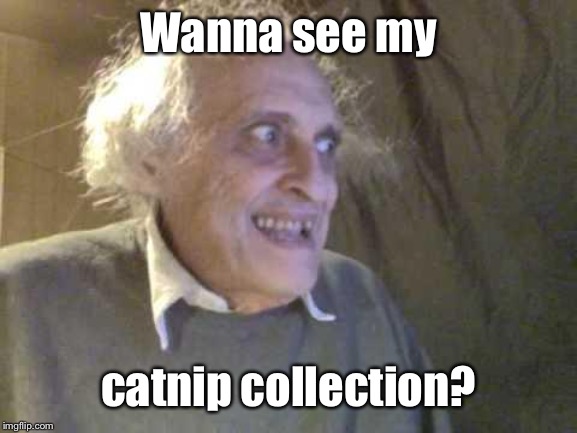 Old Pervert | Wanna see my catnip collection? | image tagged in old pervert | made w/ Imgflip meme maker