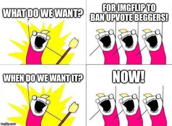 What Do We Want | WHAT DO WE WANT? FOR IMGFLIP TO BAN UPVOTE BEGGERS! NOW! WHEN DO WE WANT IT? | image tagged in memes,what do we want | made w/ Imgflip meme maker