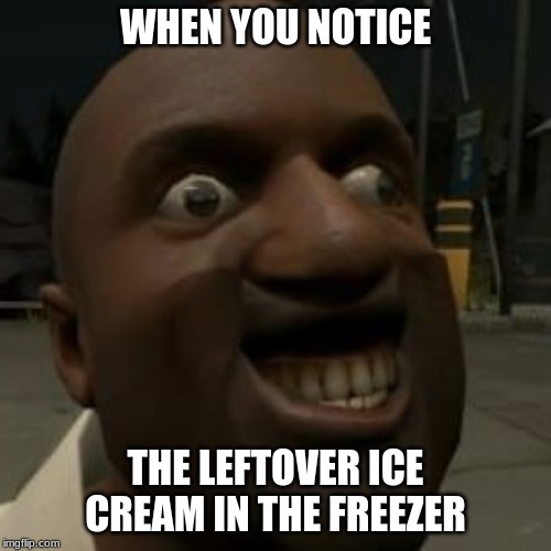 am i the only one who relates to this? | WHEN YOU NOTICE; THE LEFTOVER ICE CREAM IN THE FREEZER | image tagged in funny | made w/ Imgflip meme maker