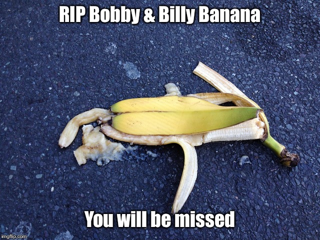 Dead Banana | RIP Bobby & Billy Banana; You will be missed | image tagged in dead banana | made w/ Imgflip meme maker
