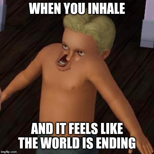 too true... | WHEN YOU INHALE; AND IT FEELS LIKE THE WORLD IS ENDING | image tagged in funny,winter,sims,help | made w/ Imgflip meme maker