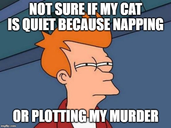 Futurama Fry | NOT SURE IF MY CAT IS QUIET BECAUSE NAPPING; OR PLOTTING MY MURDER | image tagged in memes,futurama fry | made w/ Imgflip meme maker