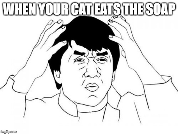 Jackie Chan WTF | WHEN YOUR CAT EATS THE SOAP | image tagged in memes,jackie chan wtf | made w/ Imgflip meme maker