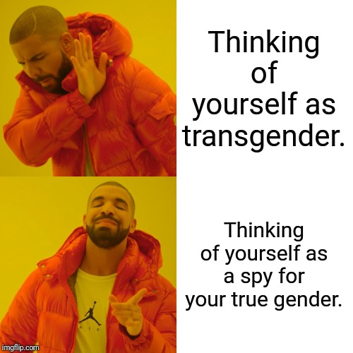 Drake Hotline Bling Meme | Thinking of yourself as transgender. Thinking of yourself as a spy for your true gender. | image tagged in memes,drake hotline bling | made w/ Imgflip meme maker