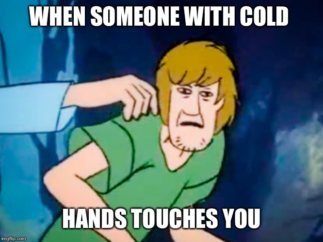 WHEN SOMEONE WITH COLD; HANDS TOUCHES YOU | image tagged in shaggy | made w/ Imgflip meme maker