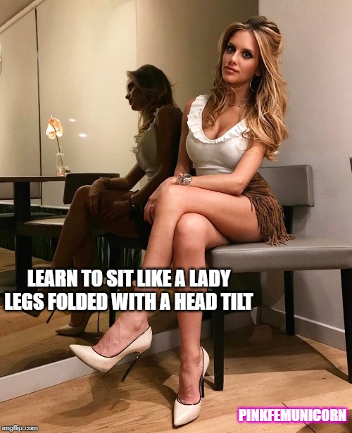 LEARN TO SIT LIKE A LADY
LEGS FOLDED WITH A HEAD TILT; PINKFEMUNICORN | made w/ Imgflip meme maker