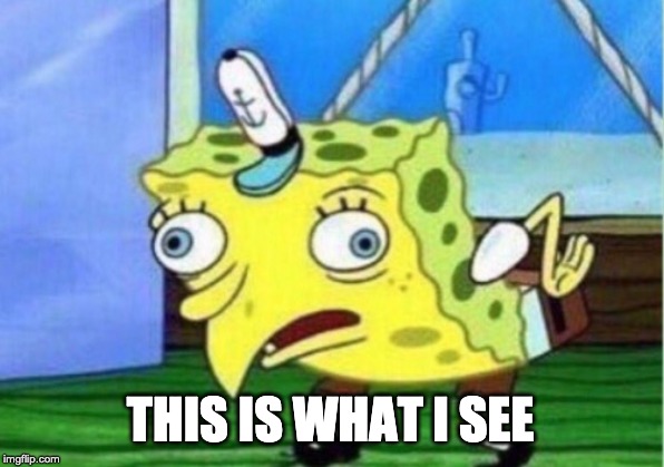 THIS IS WHAT I SEE | image tagged in memes,mocking spongebob | made w/ Imgflip meme maker