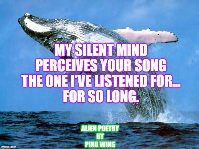 whale | MY SILENT MIND
PERCEIVES YOUR SONG
THE ONE I'VE LISTENED FOR...
FOR SO LONG. ALIEN POETRY
BY
PING WINS | image tagged in whale | made w/ Imgflip meme maker