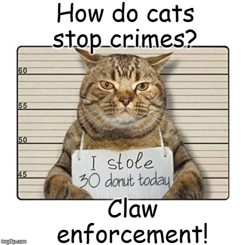 criminal cats | How do cats stop crimes? Claw enforcement! | image tagged in cats | made w/ Imgflip meme maker
