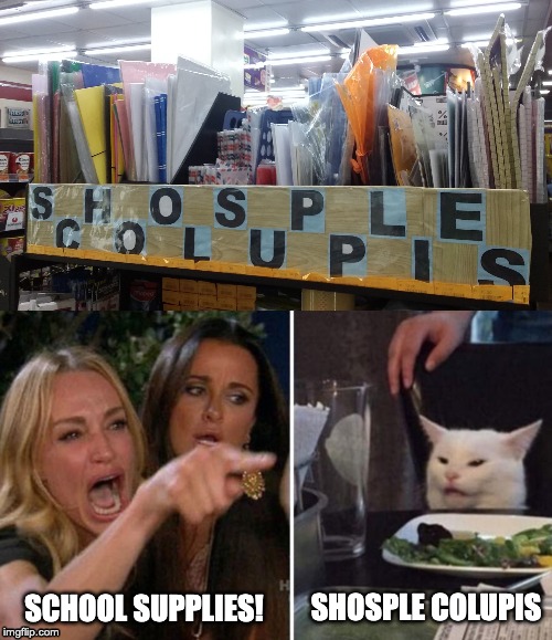 SHOSPLE COLUPIS; SCHOOL SUPPLIES! | image tagged in woman yelling at cat | made w/ Imgflip meme maker