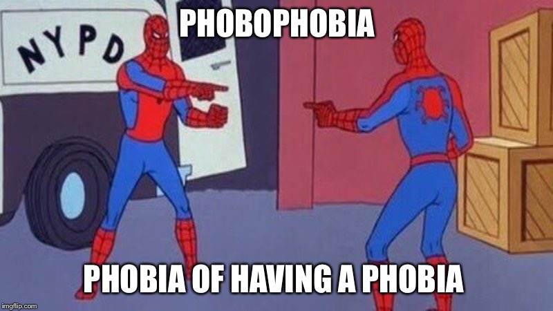 spiderman pointing at spiderman | PHOBOPHOBIA; PHOBIA OF HAVING A PHOBIA | image tagged in spiderman pointing at spiderman | made w/ Imgflip meme maker
