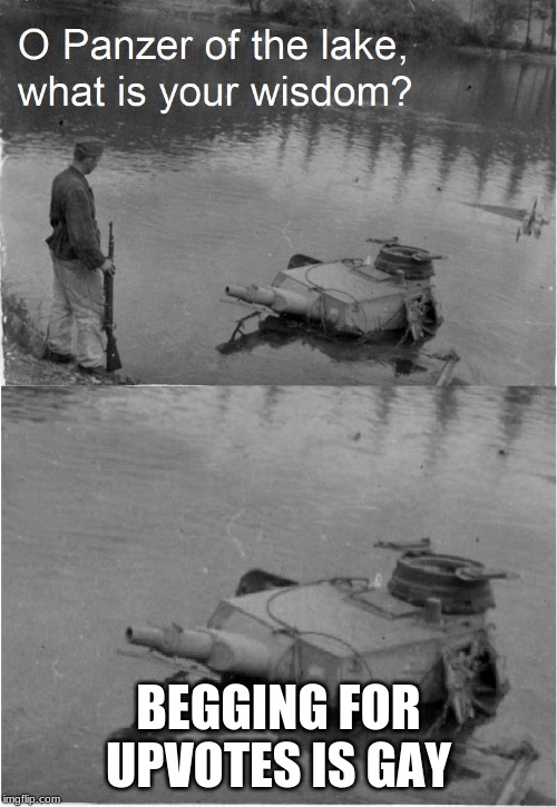 o panzer of the lake | BEGGING FOR UPVOTES IS GAY | image tagged in o panzer of the lake | made w/ Imgflip meme maker