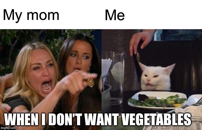 Woman Yelling At Cat Meme | My mom; Me; WHEN I DON’T WANT VEGETABLES | image tagged in memes,woman yelling at cat | made w/ Imgflip meme maker