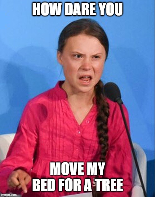 Greta Thunberg how dare you | HOW DARE YOU; MOVE MY BED FOR A TREE | image tagged in greta thunberg how dare you | made w/ Imgflip meme maker