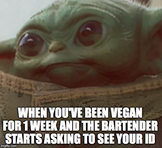 WHEN YOU'VE BEEN VEGAN FOR 1 WEEK AND THE BARTENDER STARTS ASKING TO SEE YOUR ID | image tagged in baby yoda,vegan,veganism,vegans | made w/ Imgflip meme maker