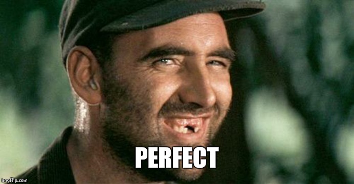 Deliverance HIllbilly | PERFECT | image tagged in deliverance hillbilly | made w/ Imgflip meme maker