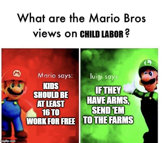 Mario Bros Views | CHILD LABOR; KIDS SHOULD BE AT LEAST 16 TO WORK FOR FREE; IF THEY HAVE ARMS, SEND 'EM TO THE FARMS | image tagged in mario bros views | made w/ Imgflip meme maker