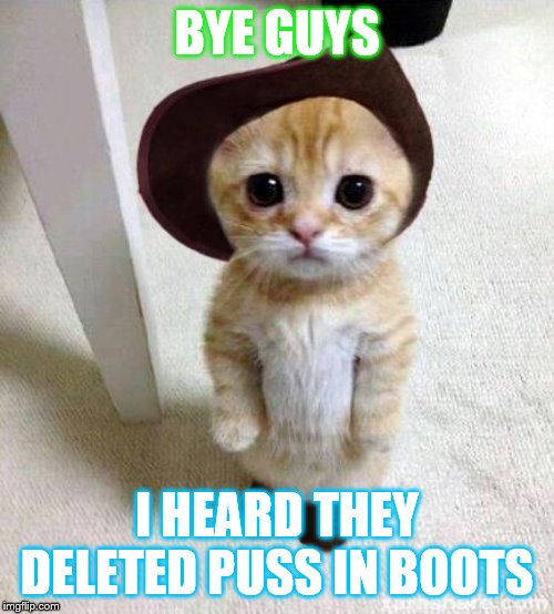 Cute Cat | BYE GUYS; I HEARD THEY DELETED PUSS IN BOOTS | image tagged in cute cat | made w/ Imgflip meme maker